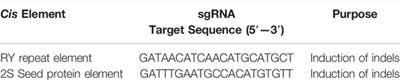 CRISPR/Cas9 Based Site-Specific Modification of FAD2 cis-Regulatory Motifs in Peanut (Arachis hypogaea L)